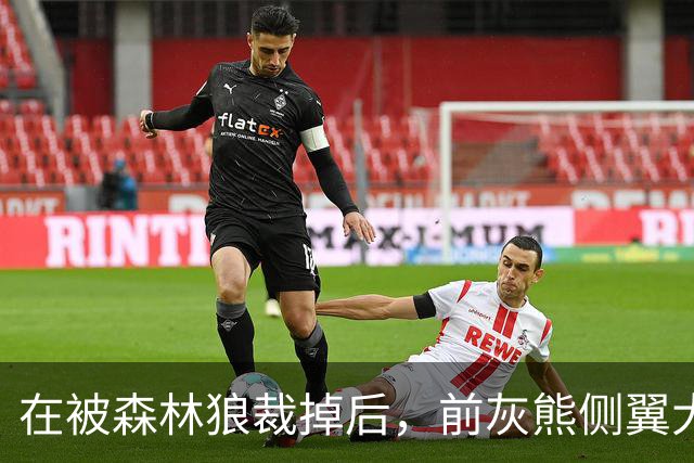 在被森林狼裁掉后，前灰熊侧翼大将或成为热火第15人的重点目标？