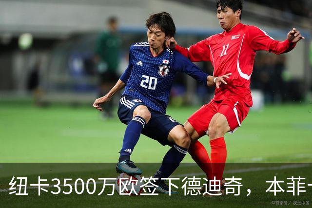 纽卡3500万欧签下德迪奇，本菲卡被迫放人